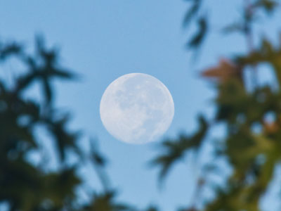 Remnants of the supermoon (see October 6 above).