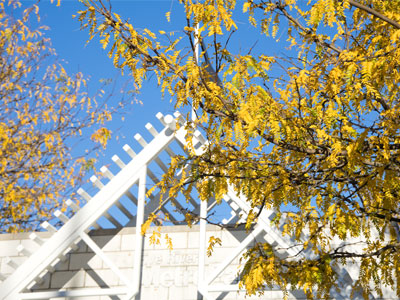 I don`t like autumn, but I`m obligated to take this picture.