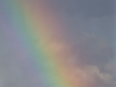 But this was a nice consolation for the rain.