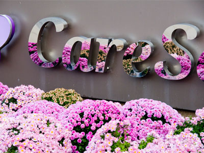 There are tulips here in the spring, but they don`t last.