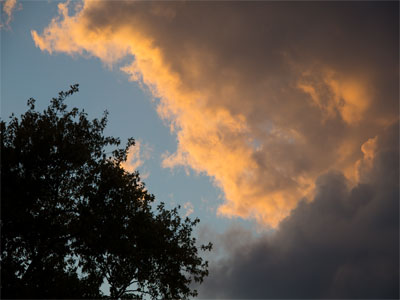 This was taken safely through my living room window.