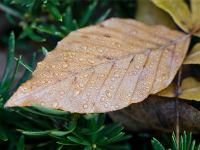 As I took this picture, I was surrounded by participants in my photography class.