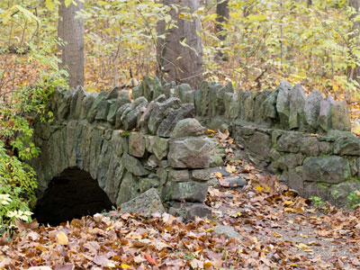 I brought the wrong lens for this shot, but I made it work.