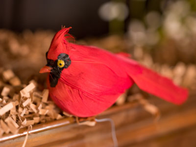 I`m inside the Aull home (see September 27, 2009).