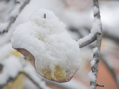 Taken through my window with the furnace running.