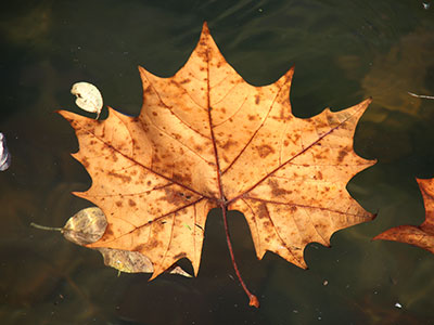 Just look around and you`ll be reminded of the endless cycle of life and death.