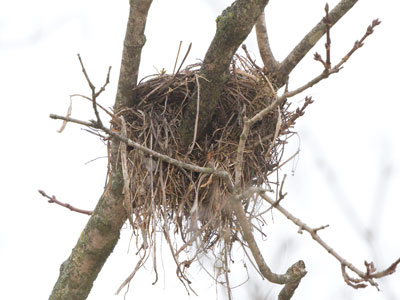 They packed up the Winnebago and left for the winter.