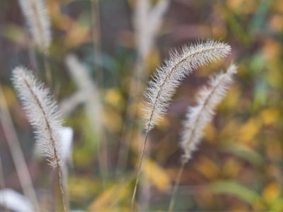 There wasn`t much happening out there on the prairie, but I was still glad to be there.