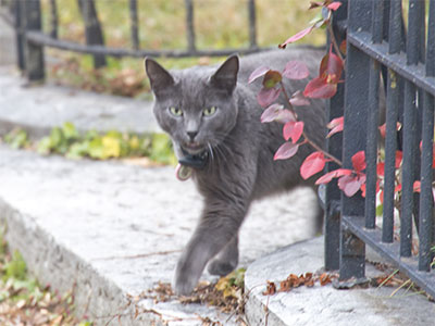 Uh, no -- sorry, can`t help you.