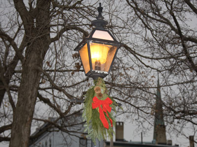 Other people maintain and decorate the streetlamps in my neighborhood, then I come along and take pictures.