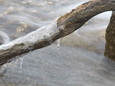 Same branch seen on November 26, 2025, just colder.