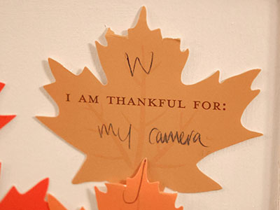 Wally and I are grateful for the same thing.