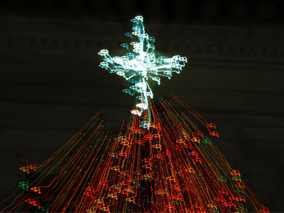 In winter solstice festivals, evergreen trees represented the endurance of life through cold and darkness.