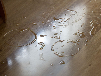 I washed dishes on a Wednesday afternoon, because it doesn`t matter what day or time it is.  At least I THINK it`s Wednesday.