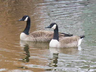After the workshop, I went outside and got cold and wet.