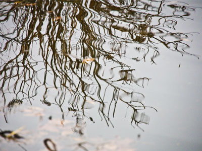 Basically the same wavy reflection as January 9 above.