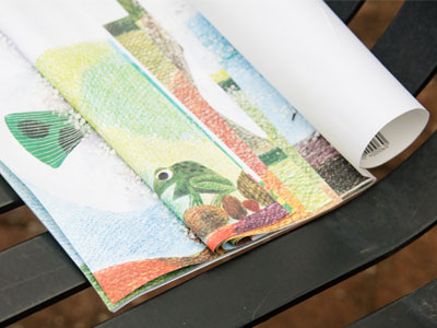 I was surprised to see a frog at the park today.