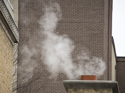 I bet it`s warmer up there than on the sidewalk.