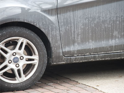 Someone needs to wash my car.  I`ll give you the keys.