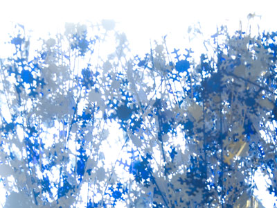 Somebody`s leftover celebration.