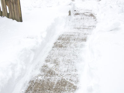 Shoveling this path was my biggest accomplishment today, so you get a picture of it.