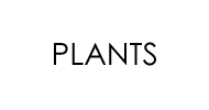 PLANTS